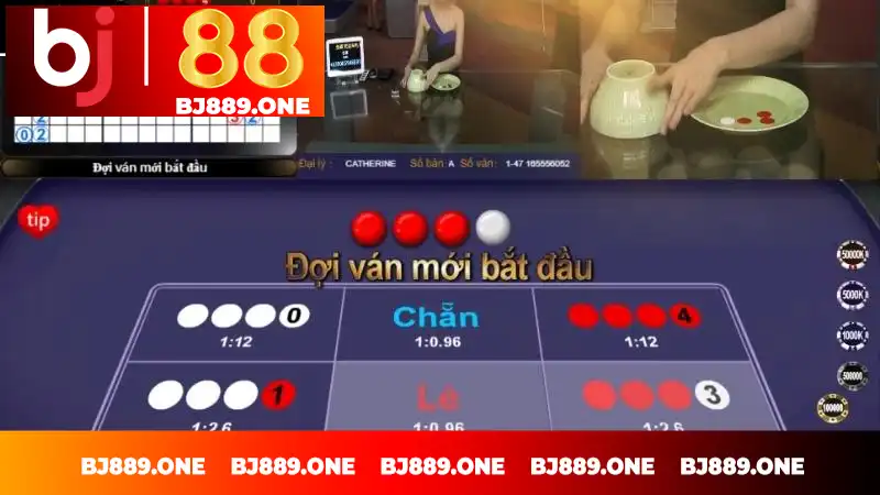 Hướng dẫn chơi xóc đĩa tại nhà cái BJ88 Hướng dẫn chơi xóc đĩa tại nhà cái BJ88